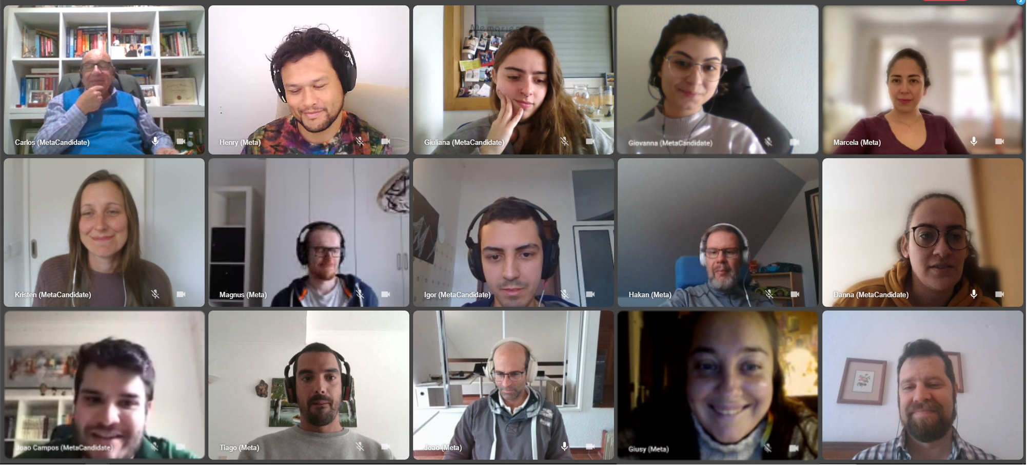 all members of metaprovide on video-call